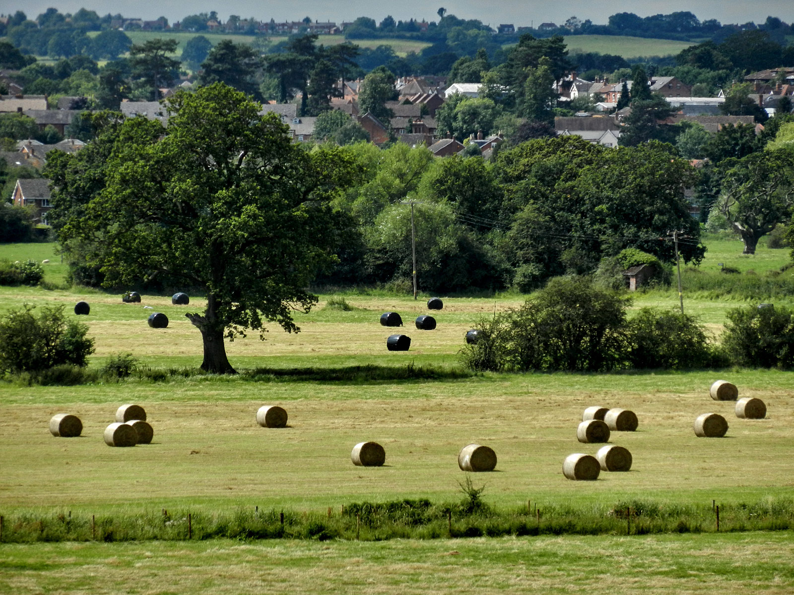 Studley